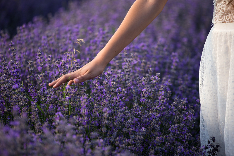 Das Bild symbolisiert, welche positiven Auswirkungen liebevolle Aufmerksamkeit auf unsere Pflanzen und unseren Garten haben kann