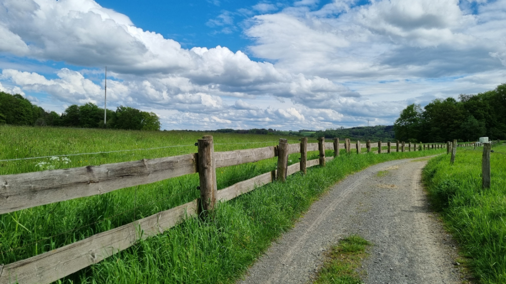 Das Foto zeigt einen Feldweg in einer ländlichen Landschaft. Es wurde von Carina Harbich, der Autorin des Blogbeitrags "Kreativer Inspirationswalk", erstellt und ausgewählt. Das Foto soll als Beispielweg dienen, den man auf einem Inspirativen Kreativwalk gehen kann.
