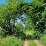 Eine andere Wirklichkeit: Warum ich die feinstoffliche Natur Anderswelt nenne